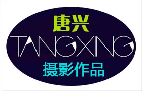 TANGXING摄影作品